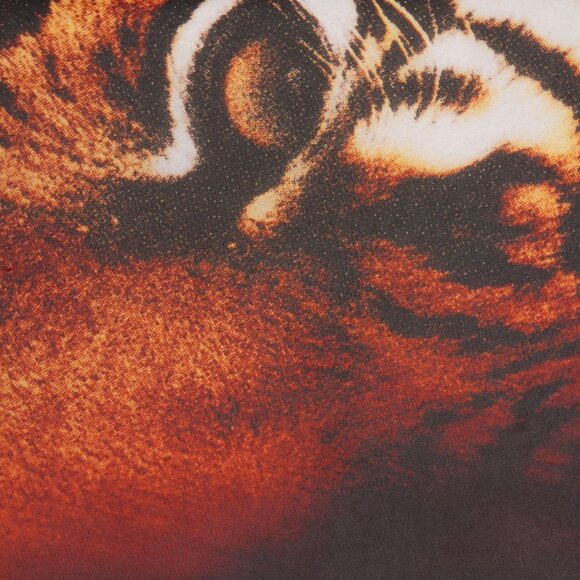 ROBERTO CAVALLI X SKIMS LONG KAFTAN TIGER FACE PRINT - Picture 2 of 3